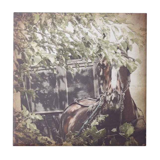 Azulejo De Cerámica amish Waiting Horse (Frente)