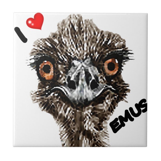 AZULEJO DE CERÁMICA AMO EMUS (Frente)