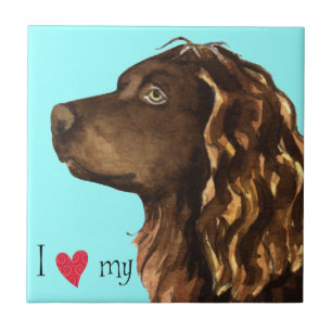 Azulejo De Cerámica Amo mi Boykin Spaniel