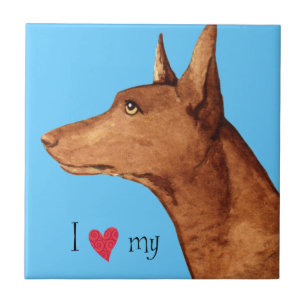 Azulejo De Cerámica Amo mi Hound de Faraón