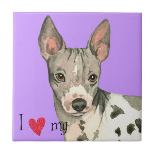 Azulejo De Cerámica Amo mi miedo sin pelo estadounidense