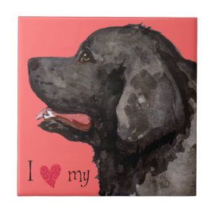 Azulejo De Cerámica Amo mi Terranova