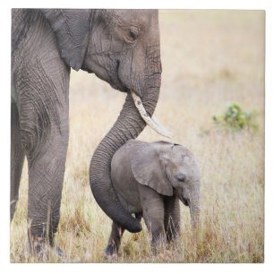 Azulejo De Cerámica Amor maternal