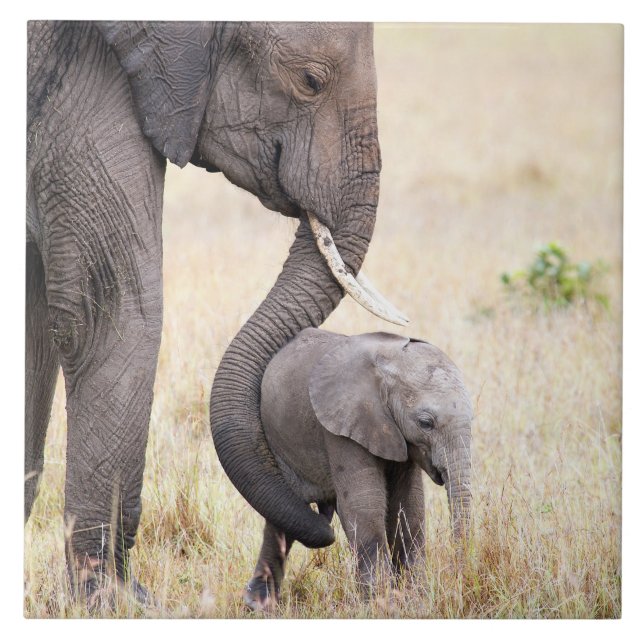 Azulejo De Cerámica Amor maternal (Frente)