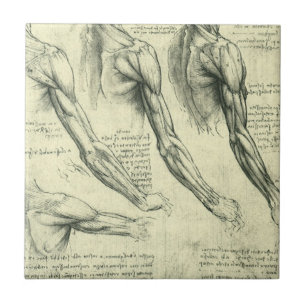 Azulejo De Cerámica Anatomía del brazo y hombro de Leonardo da Vinci