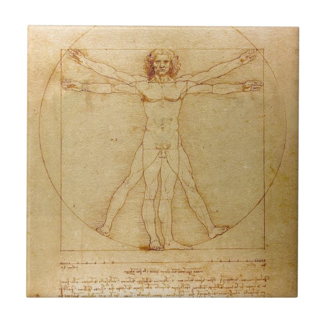 Azulejo De Cerámica Anatomía humana, hombre de Vitruvian de Leonardo (Frente)