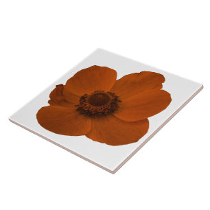 Azulejo De Cerámica Anemone Tile Brown