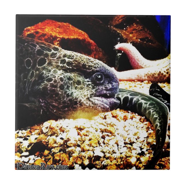 Azulejo De Cerámica Anguila manchada (Frente)