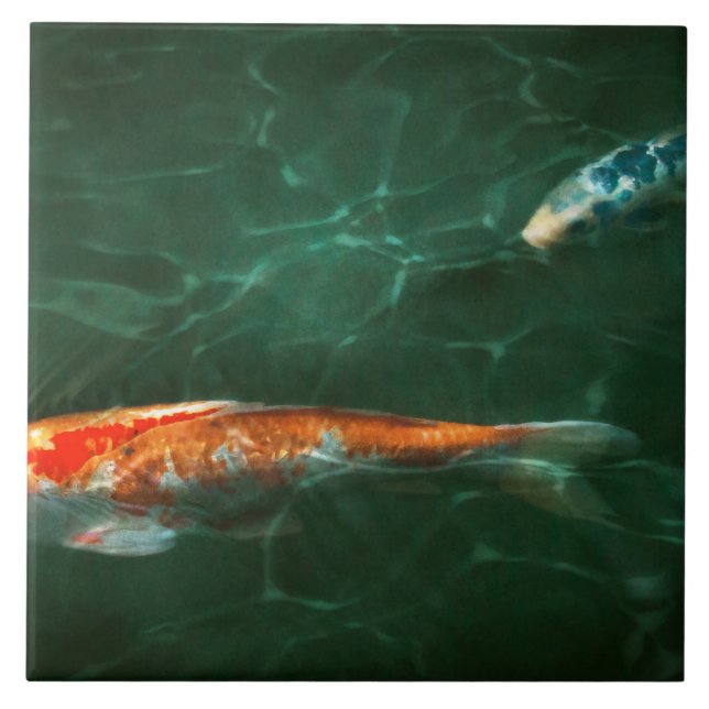 Azulejo De Cerámica Animal - Pescado - Koi - Otra historia de peces (Frente)