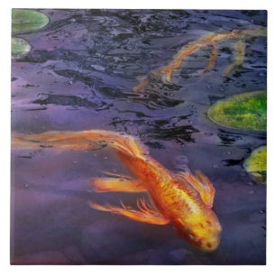 Azulejo De Cerámica Animal - Pez - Hay algo sobre koi