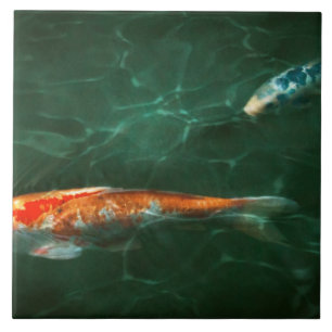 Azulejo De Cerámica Animal - Pez - Koi - Otro cuento de peces