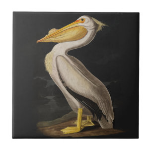 Azulejo De Cerámica Antiguo pelícano blanco costero de John James Audu
