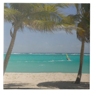 Azulejo De Cerámica Antillas Francesas, Guadaloupe, Marie, Galante 2