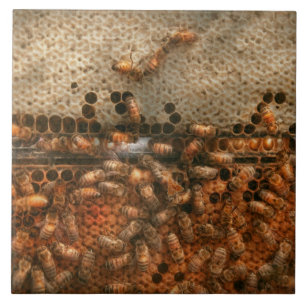 Azulejo De Cerámica Apiario - Abejas - Dulce éxito