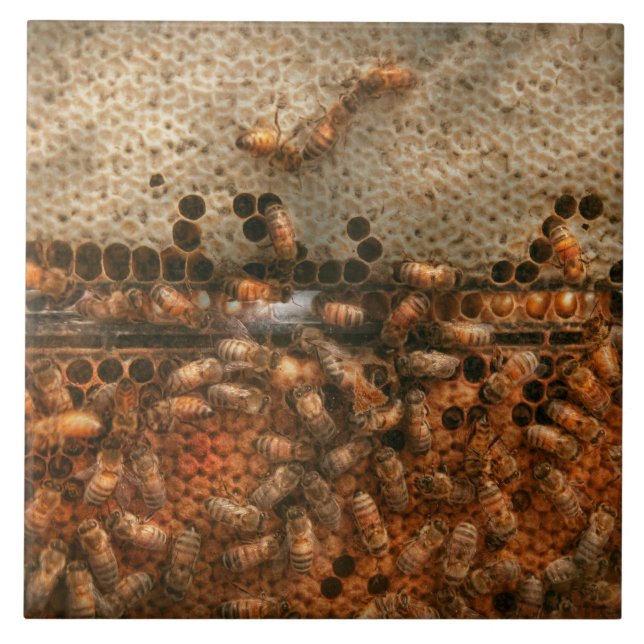 Azulejo De Cerámica Apiario - Abejas - Dulce éxito (Frente)