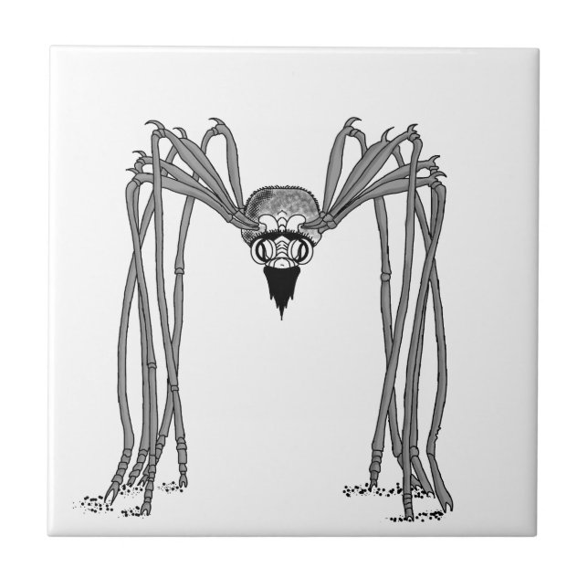 Azulejo De Cerámica araña . blanco y negro (Frente)