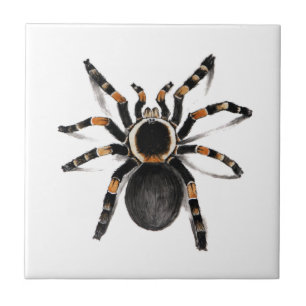 Azulejo De Cerámica Araña congregada rojo del Tarantula