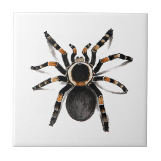Azulejo De Cerámica Araña congregada rojo del Tarantula