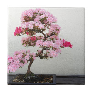 Azulejo De Cerámica Árbol Bonsai Rosa
