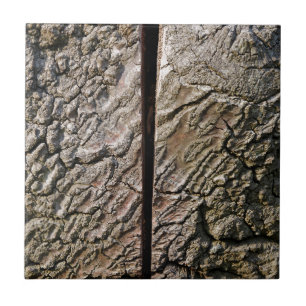 Azulejo De Cerámica Árbol con corte central