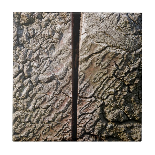 Azulejo De Cerámica Árbol con corte central (Frente)