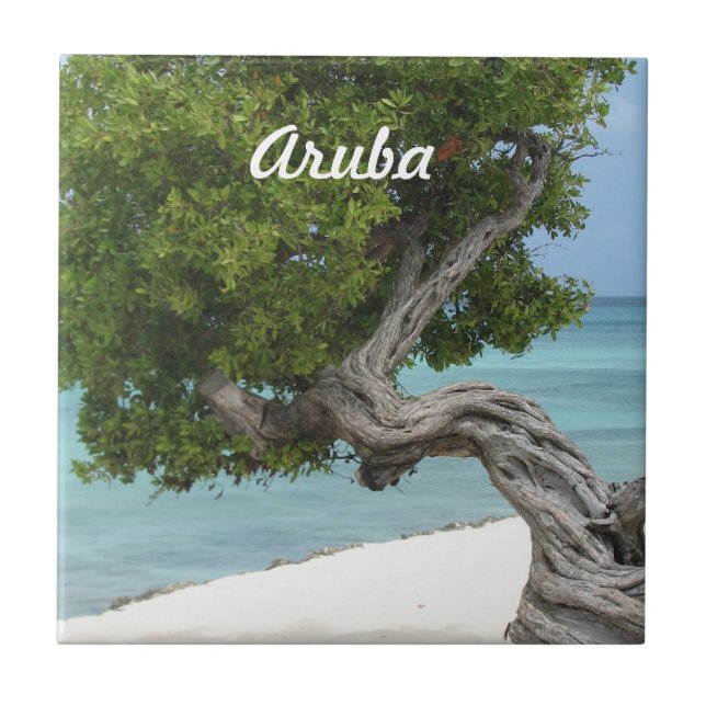 Azulejo De Cerámica Árbol de Divi Divi en Aruba (Frente)