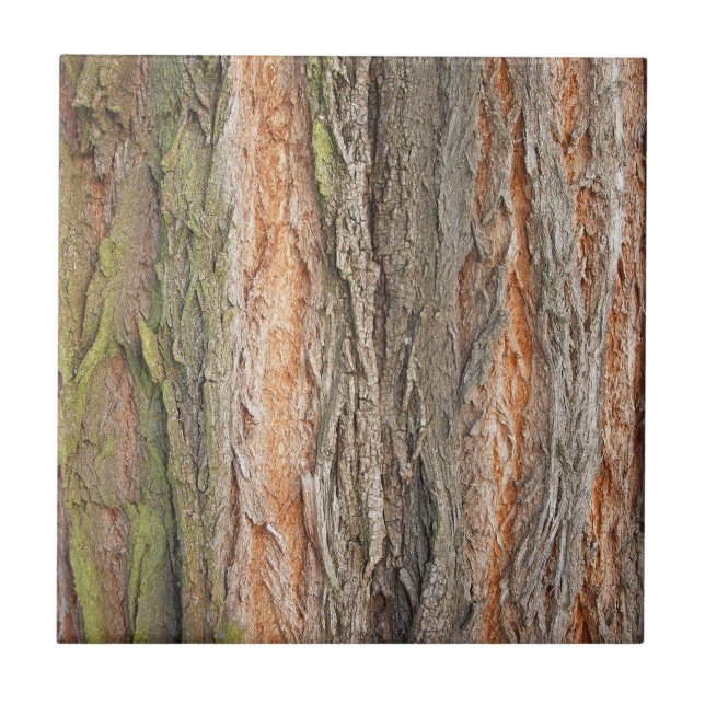 Azulejo De Cerámica árbol viejo (Frente)