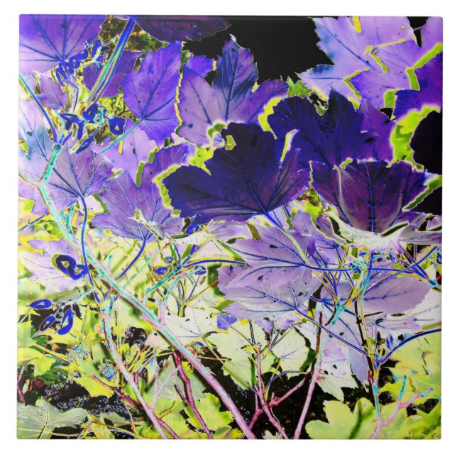 AZULEJO DE CERÁMICA ÁRBOLES (Frente)