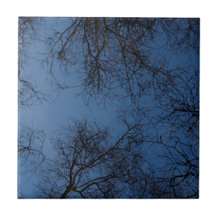Azulejo De Cerámica Árboles oscuros de silueta