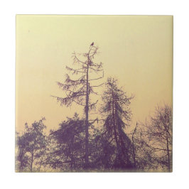 Azulejo De Cerámica Árboles y pájaro