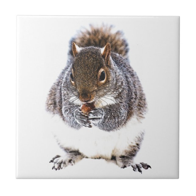 Azulejo De Cerámica Ardilla de comer (Frente)