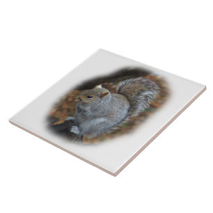 Azulejo De Cerámica Ardilla de gris del este - carolinensis del