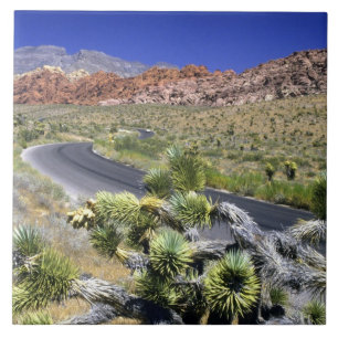 Azulejo De Cerámica Área Nacional de Conservación del Cañón Red Rock,