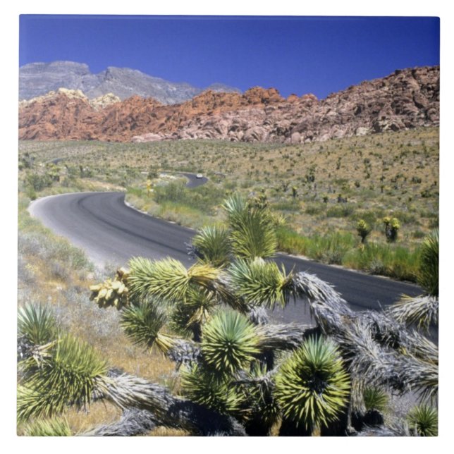 Azulejo De Cerámica Área Nacional de Conservación del Cañón Red Rock,  (Frente)