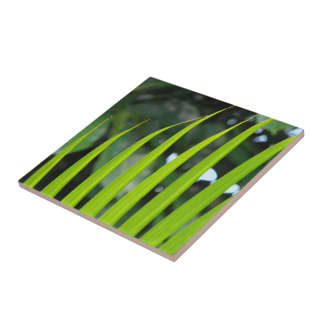 Azulejo De Cerámica Areca Palm Frond (Lado)