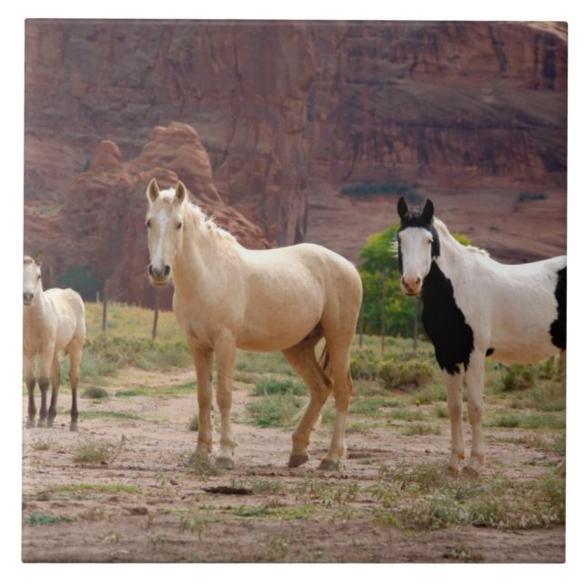 Azulejo De Cerámica Arizona, Reserva India Navajo, Chinle, (Frente)