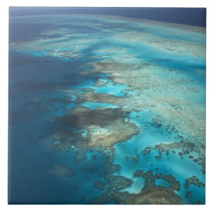 Azulejo De Cerámica Arlington Reef, Parque Marino Gran Barrera de Cora