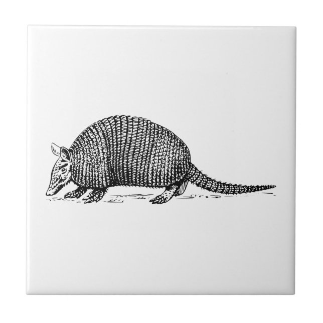 Azulejo De Cerámica Armadillo (Frente)