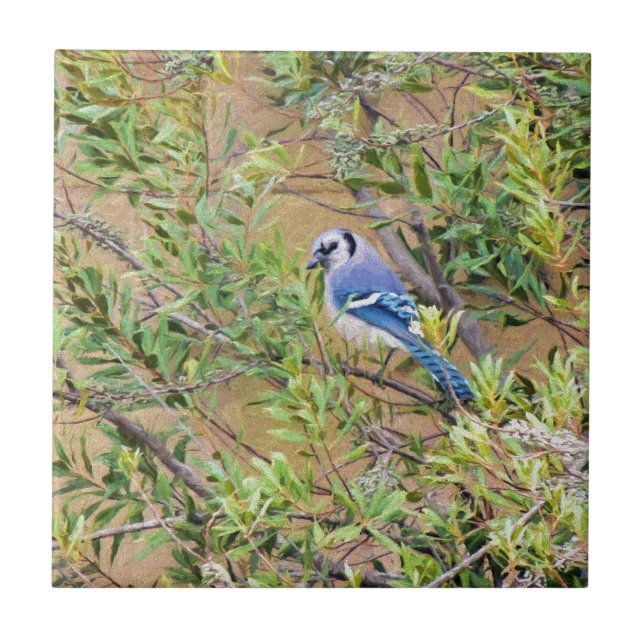 Azulejo De Cerámica Arrendajo azul en arrayán (Frente)