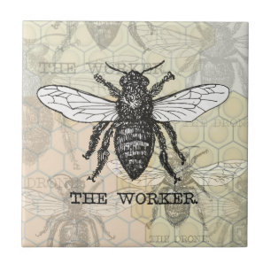 Azulejo De Cerámica Arte de ilustración vintage de abeja trabajadora