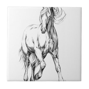 Azulejo De Cerámica Arte del bosquejo del dibujo del caballo hecho a