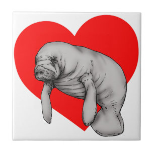 Azulejo De Cerámica arte del manatee