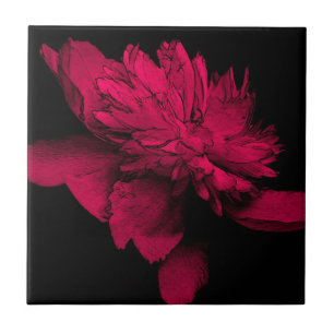 Azulejo De Cerámica Arte floral de Red Peony