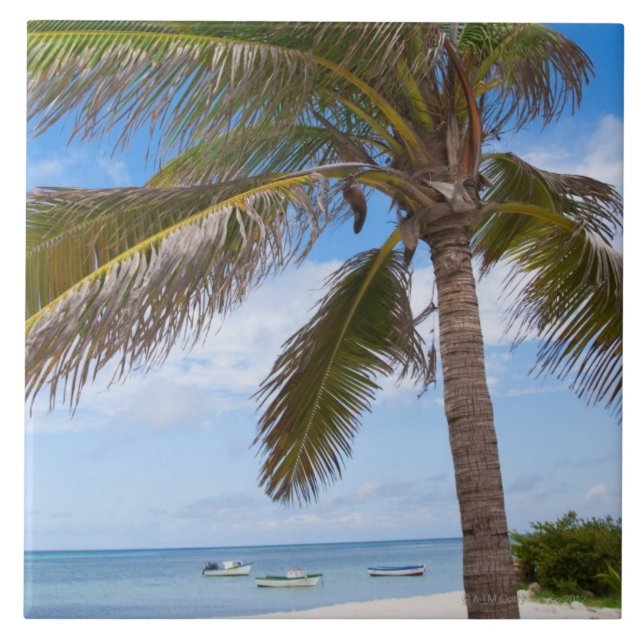 Azulejo De Cerámica Aruba, palmera en la playa (Frente)
