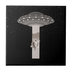 Azulejo De Cerámica Ascend Me Up, Scooty