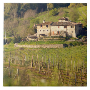Azulejo De Cerámica Aschuito, una granja que acepta clientes,