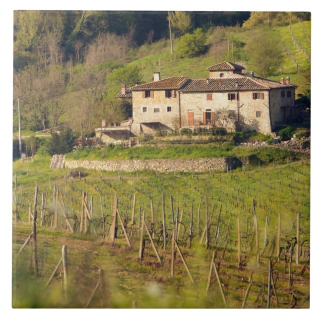 Azulejo De Cerámica Aschuito, una granja que acepta clientes, (Frente)