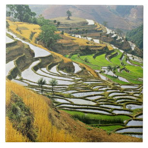 Azulejo De Cerámica Asia, China, Yunnan, prefectura de Yuxi; Yuanjiang