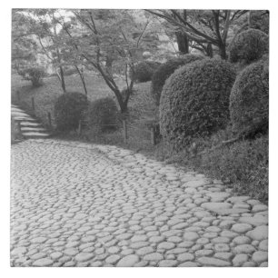 Azulejo De Cerámica Asia, Japón, Hiroshima. Shukkei, en Jardín