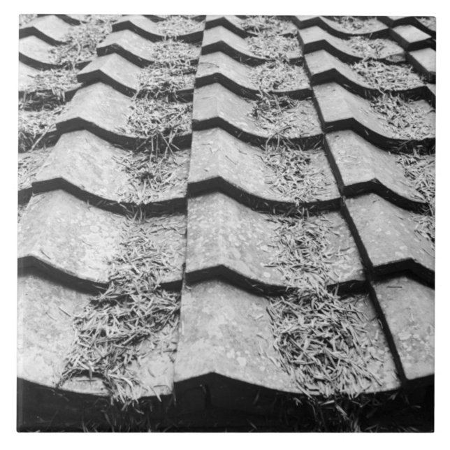 Azulejo De Cerámica Asia, Japón, Miyajima. Detalle de techo de arcilla (Frente)